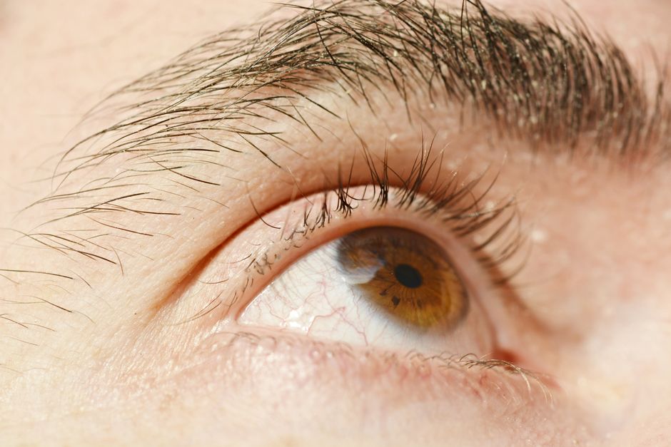 augen
