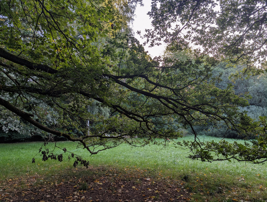tree ecc